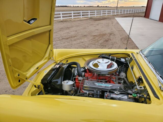 Ford Thunderbird 1955 image number 25