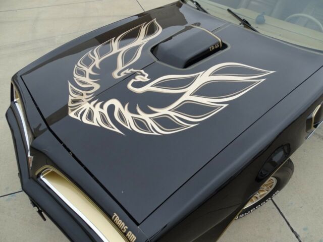 Pontiac Firebird 1978 image number 10