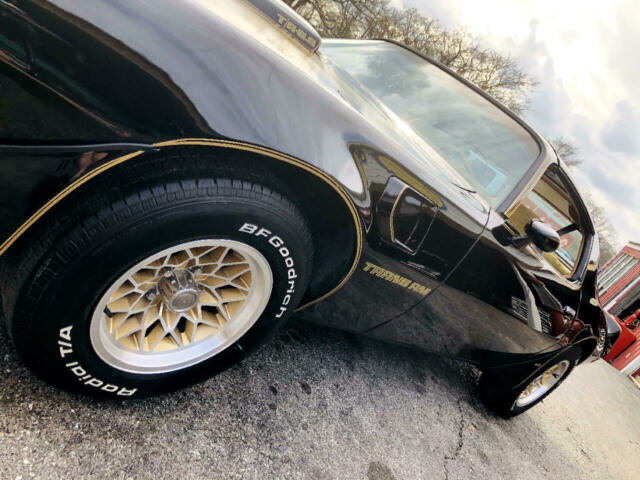 Pontiac Trans Am 1979 image number 44