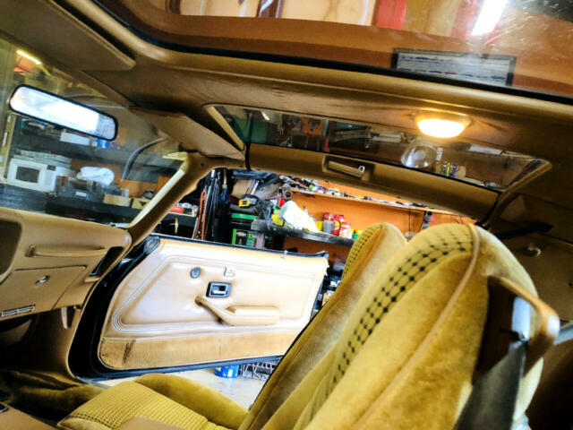 Pontiac Trans Am 1979 image number 47