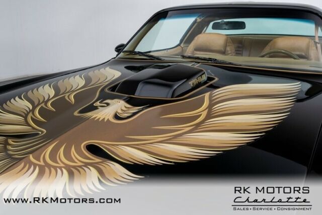 Pontiac Firebird 1979 image number 40