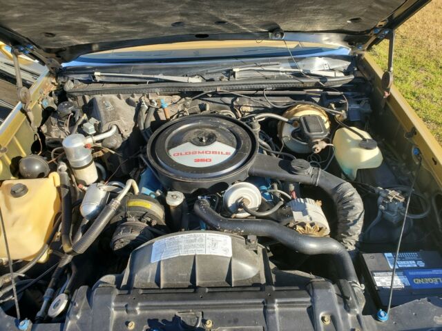Oldsmobile Cutlass 1979 image number 18
