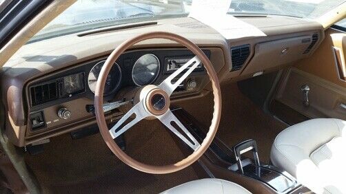 Buick GS 1974 image number 15