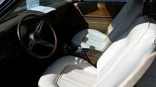 Buick GS 1974 image number 17