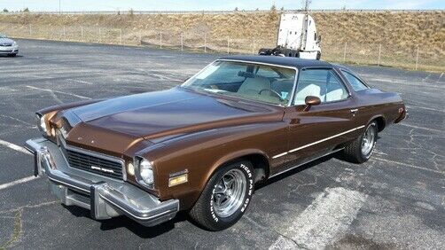 Buick GS 1974 image number 25
