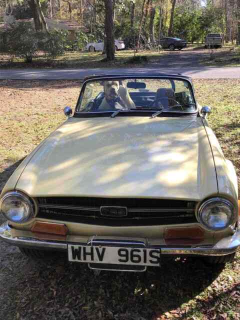 Triumph TR6 1970 image number 15