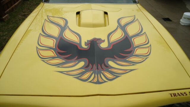 Pontiac Trans Am 1977 image number 3