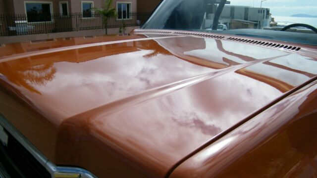 Chevrolet Cheyenne 1973 image number 10