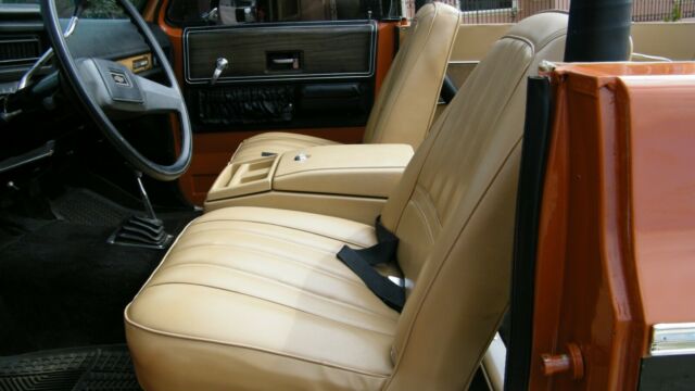 Chevrolet Cheyenne 1973 image number 33