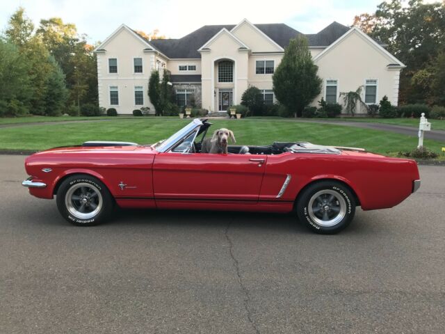 Ford Mustang 1965 image number 12