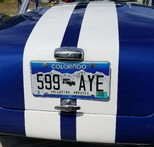 Shelby Cobra 1965 image number 6