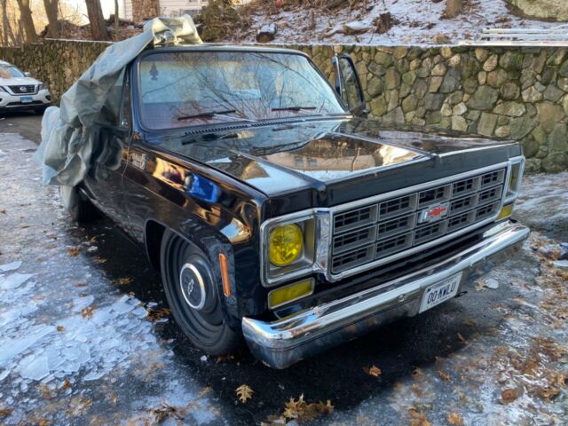 Chevrolet C-10 1979 image number 1