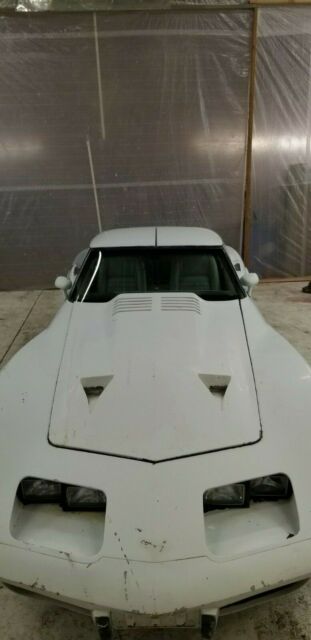 Chevrolet Corvette 1979 image number 3