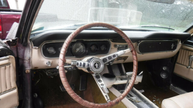 Ford Mustang 1965 image number 7