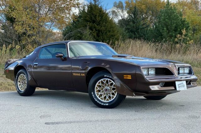 Pontiac Trans Am 1977 image number 20