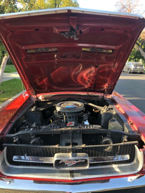 Ford Mustang 1967 image number 13