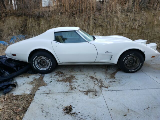 Chevrolet Corvette 1976 image number 9
