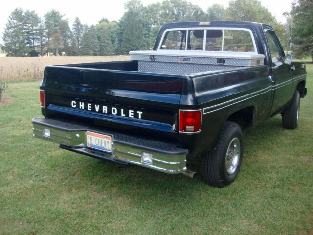 Chevrolet C-10 1979 image number 18