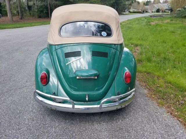 Volkswagen Beetle - Classic 1967 image number 4