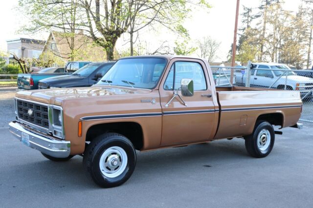 Chevrolet C/K Pickup 1500 1979 image number 0
