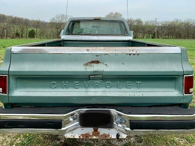 Chevrolet C/K Pickup 1500 1978 image number 3