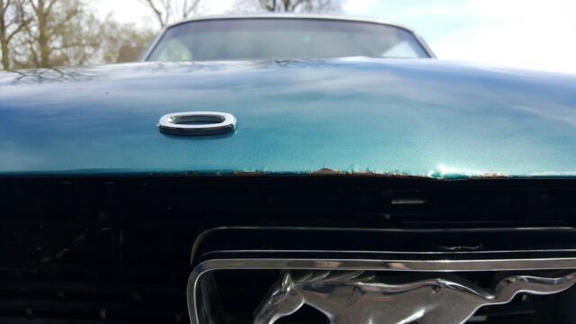 Ford Mustang 1966 image number 17