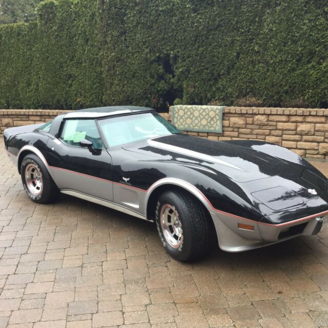 Chevrolet Corvette 1978 image number 11