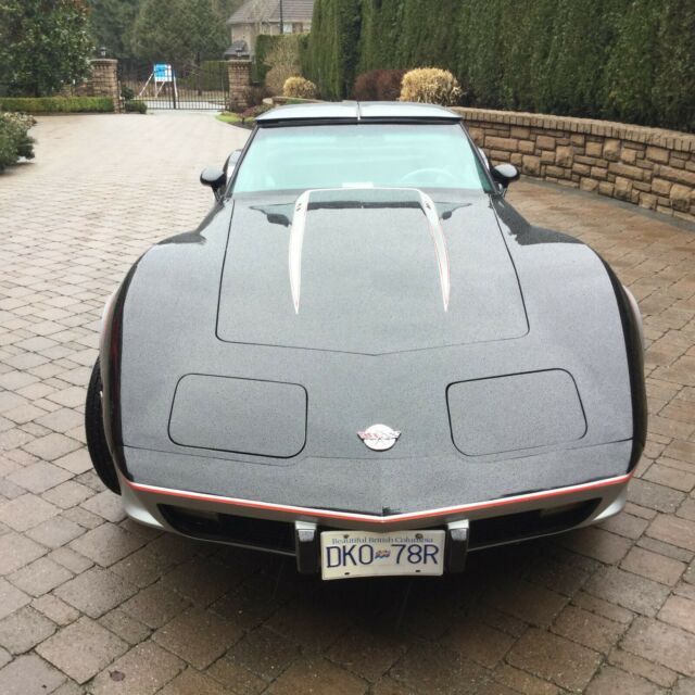 Chevrolet Corvette 1978 image number 8