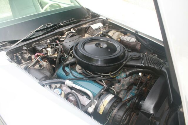 Chevrolet Corvette 1978 image number 42
