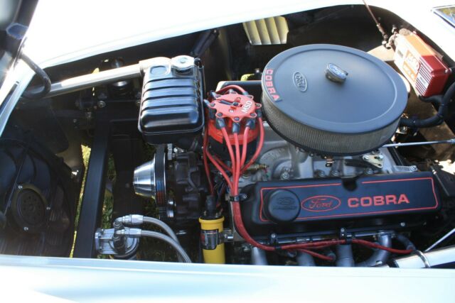 Replica/Kit Makes 427 cobra replica 1967 image number 8