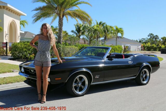 Ford Mustang 1971 image number 0