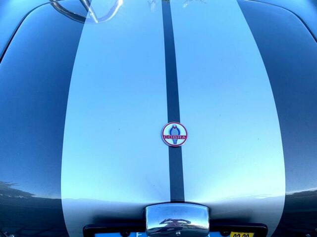 Backdraft Racing Custom Cobra 1965 image number 44