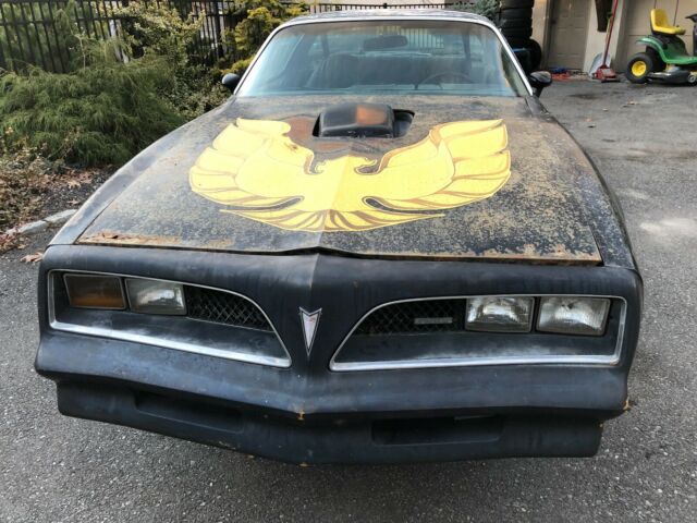 Pontiac Trans Am 1978 image number 0
