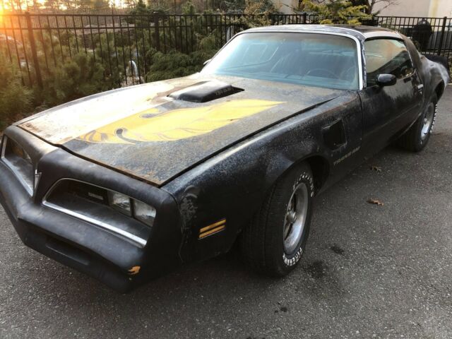 Pontiac Trans Am 1978 image number 1