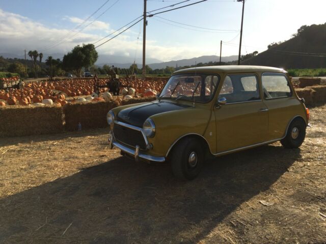 Mini Classic Mini 1976 image number 1
