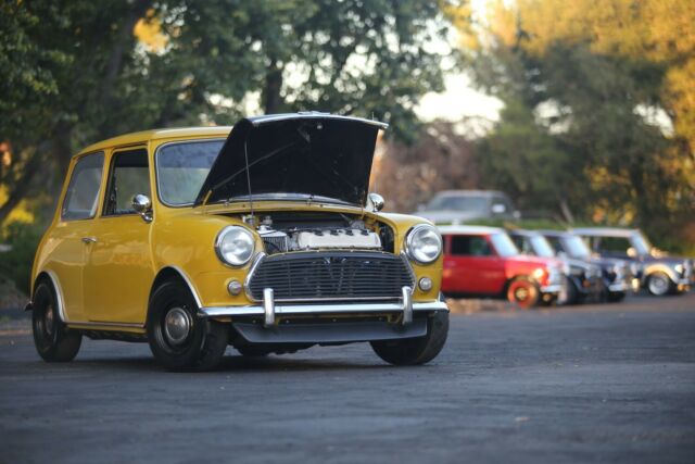 Mini Classic Mini 1976 image number 2