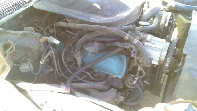 Pontiac Trans Am 1978 image number 37