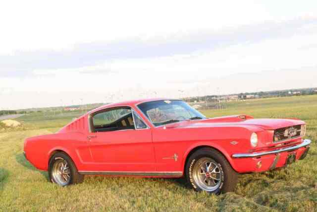 Ford Mustang 1965 image number 27