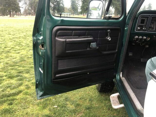 Ford F-150 1978 image number 4
