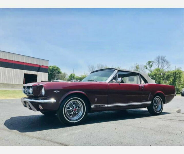 Ford Mustang 1965 image number 4