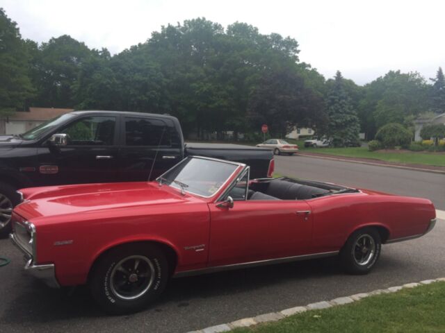 Pontiac GTO 1967 image number 3