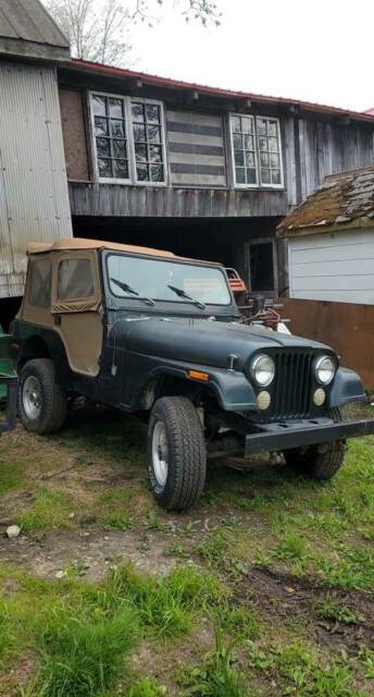 Jeep CJ 1979 image number 0
