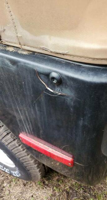Jeep CJ 1979 image number 17