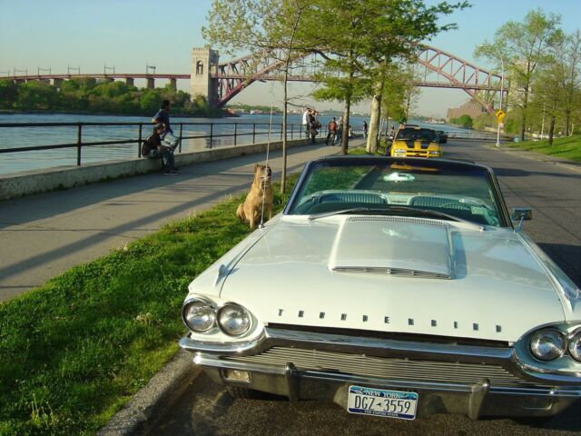 Ford Thunderbird 1964 image number 1