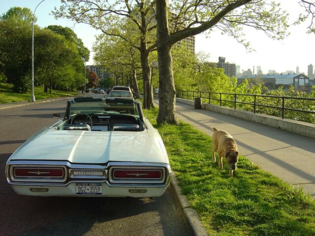 Ford Thunderbird 1964 image number 2