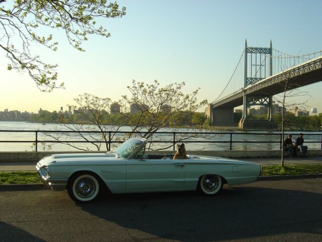 Ford Thunderbird 1964 image number 7