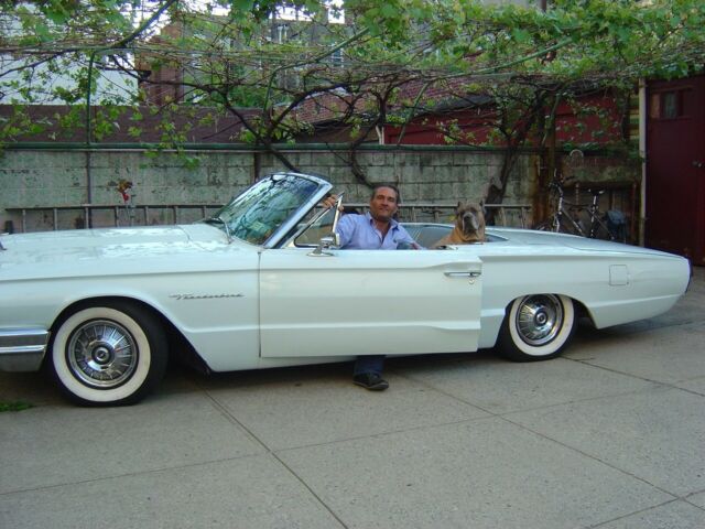 Ford Thunderbird 1964 image number 8