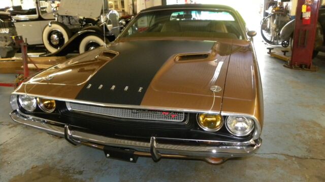 Dodge Challenger 1970 image number 19