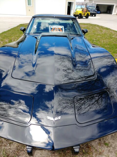 Chevrolet Corvette 1979 image number 20