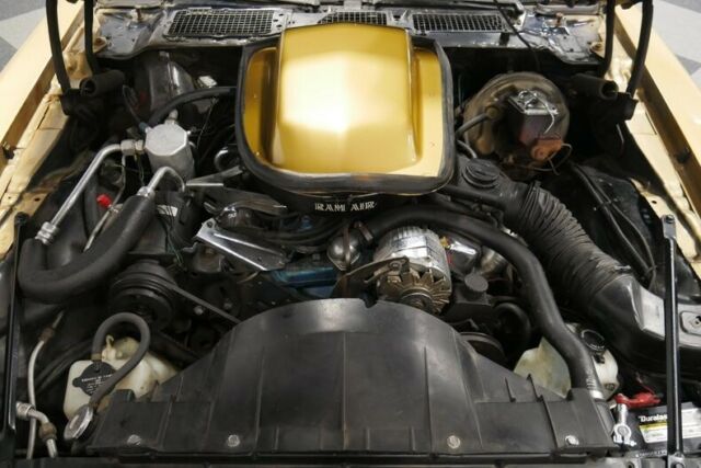 Pontiac Firebird 1978 image number 27